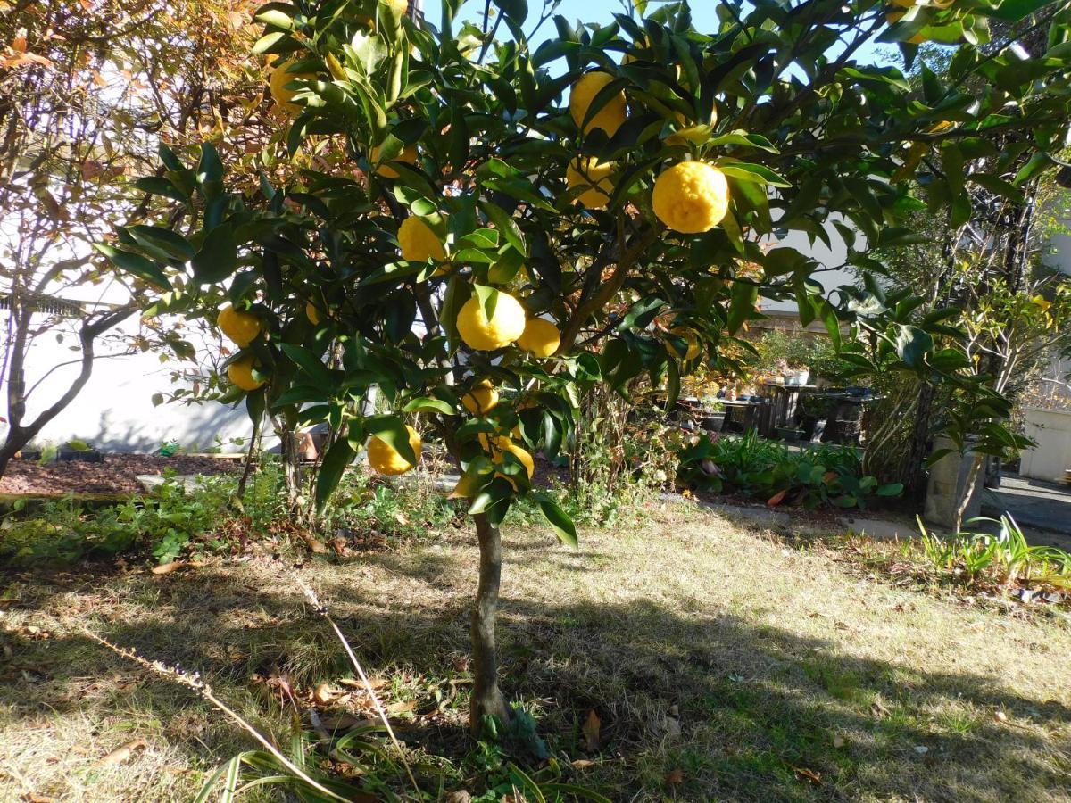 伊豆高原 温泉付別荘 Isana Mountain Villa Futo Dış mekan fotoğraf
