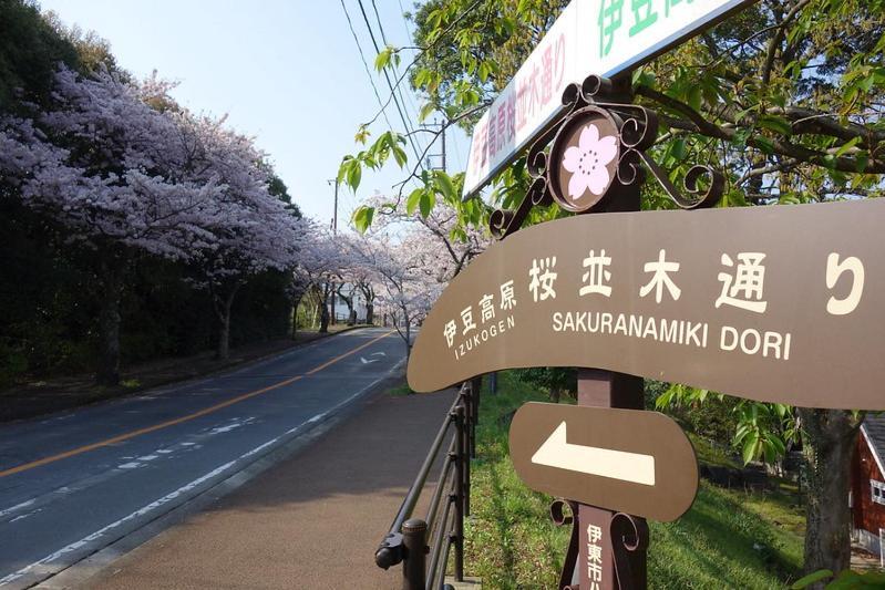 伊豆高原 温泉付別荘 Isana Mountain Villa Futo Dış mekan fotoğraf